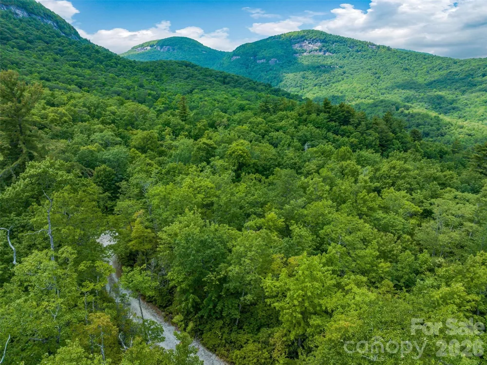 2 Cardinal Drive W #TRP 2 Lake Toxaway, NC 28747