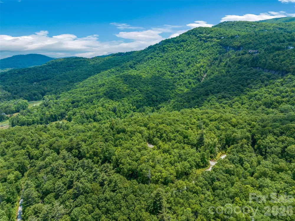 2 Cardinal Drive W #TRP 2 Lake Toxaway, NC 28747