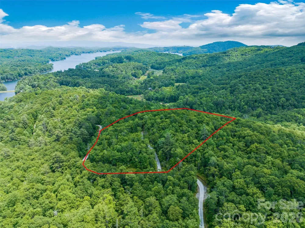 2 Cardinal Drive W #TRP 2 Lake Toxaway, NC 28747