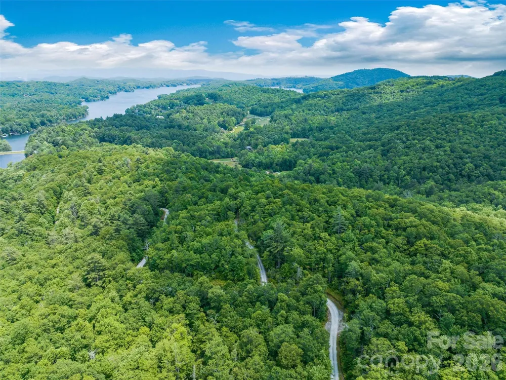 2 Cardinal Drive W #TRP 2 Lake Toxaway, NC 28747