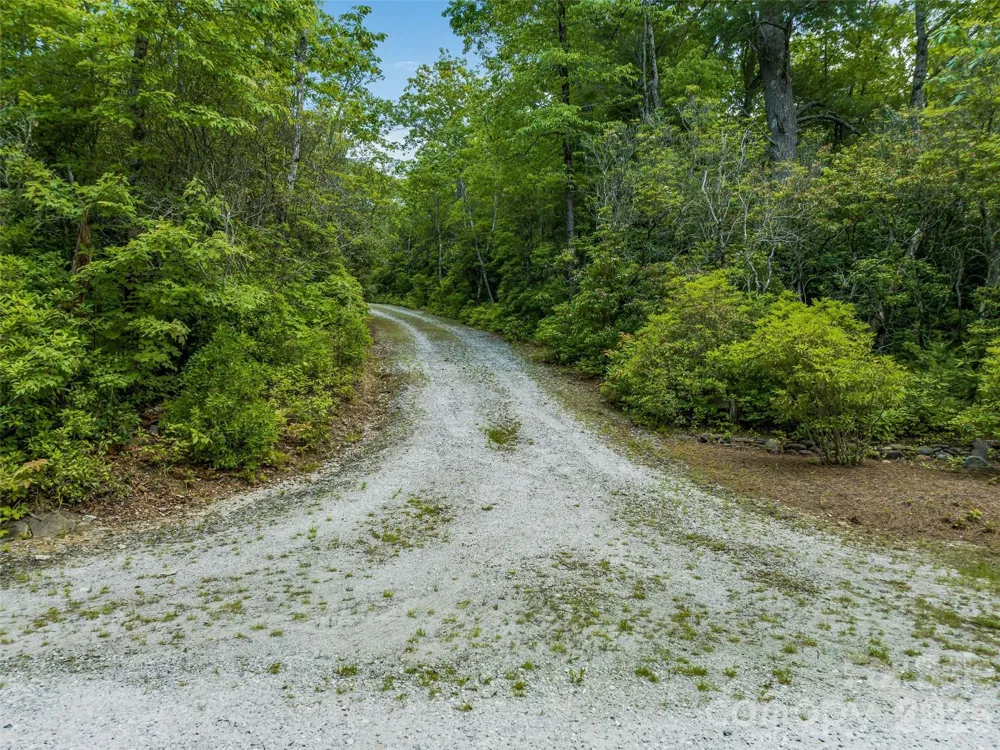 2 Cardinal Drive W #TRP 2 Lake Toxaway, NC 28747