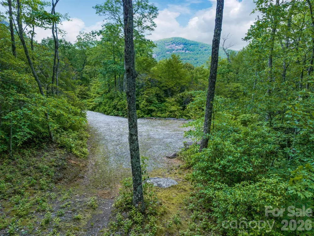 2 Cardinal Drive W #TRP 2 Lake Toxaway, NC 28747