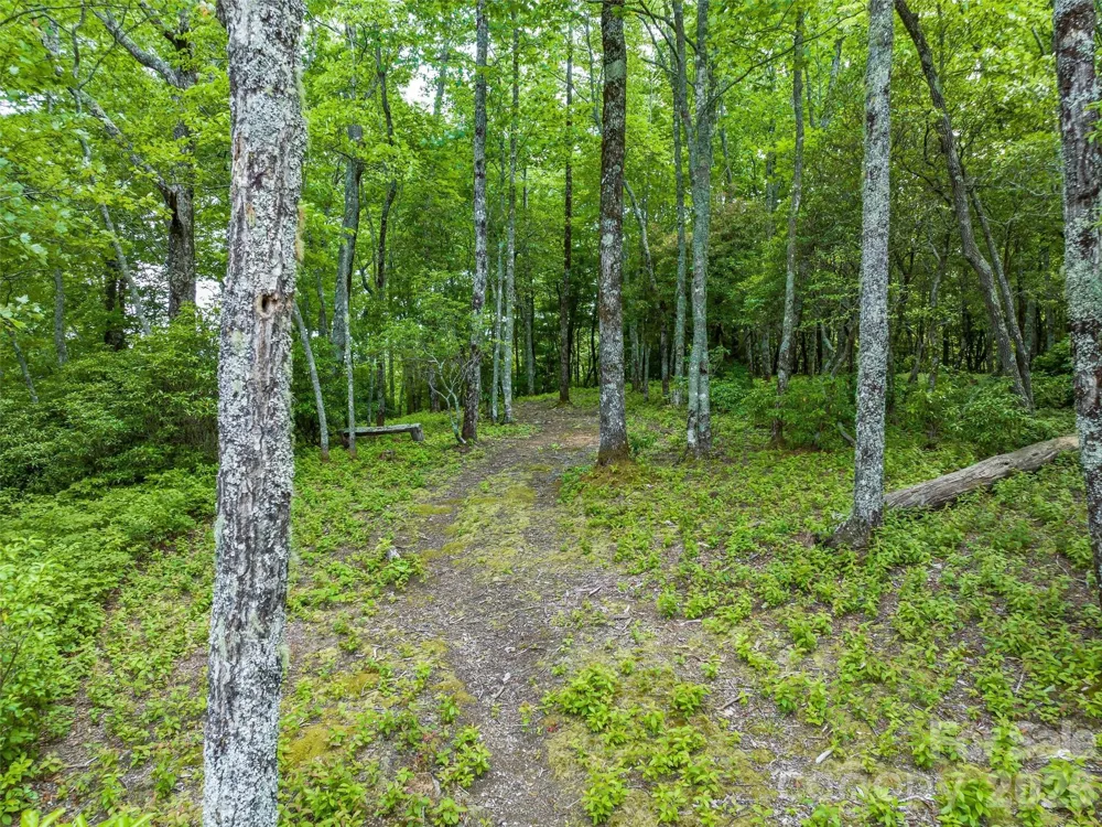 2 Cardinal Drive W #TRP 2 Lake Toxaway, NC 28747