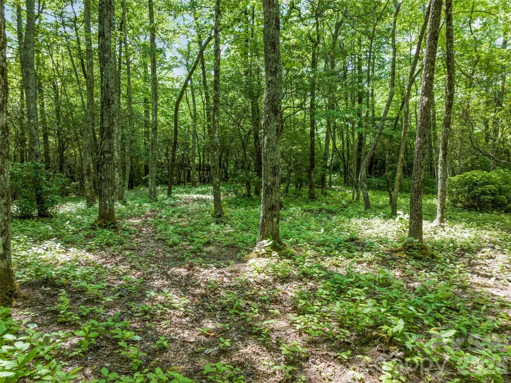 2 Cardinal Drive W #TRP 2 Lake Toxaway, NC 28747