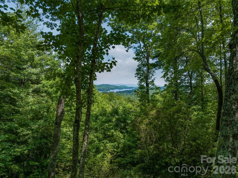 2 Cardinal Drive W #TRP 2 Lake Toxaway, NC 28747