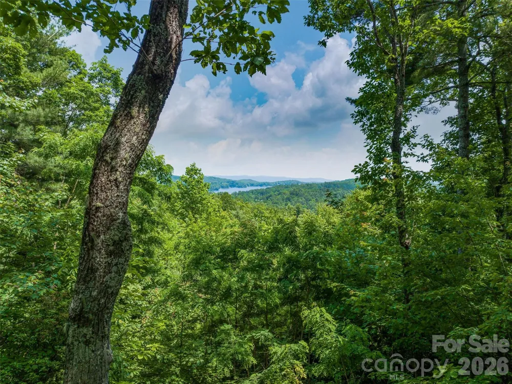 2 Cardinal Drive W #TRP 2 Lake Toxaway, NC 28747