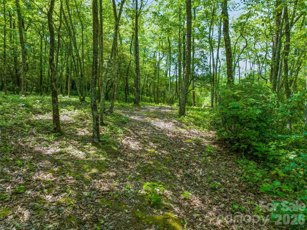 2 Cardinal Drive W #TRP 2 Lake Toxaway, NC 28747