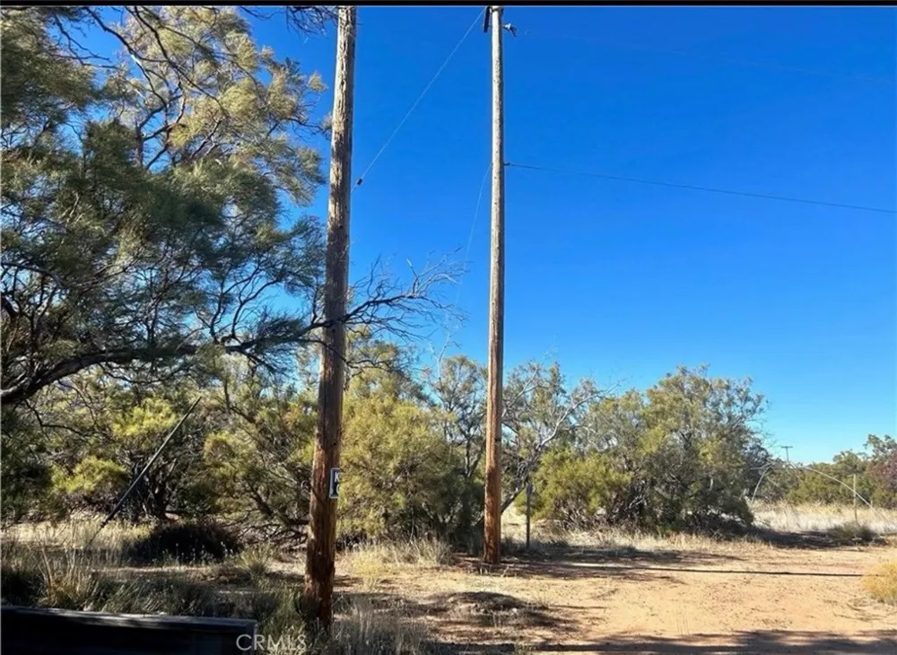 45500 Terwilliger Anza, CA 92539
