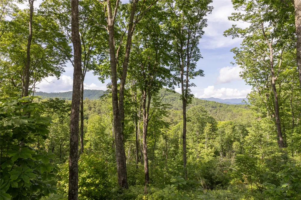 C21 Roaming Road Glenville, NC 28736