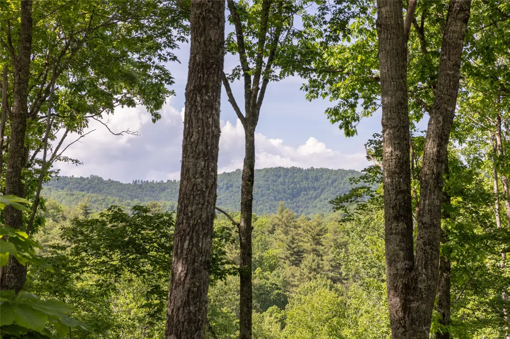 C21 Roaming Road Glenville, NC 28736