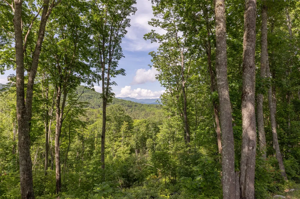 C21 Roaming Road Glenville, NC 28736