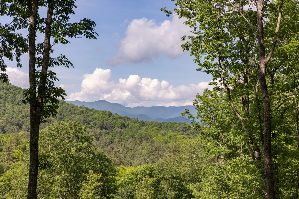 C21 Roaming Road Glenville, NC 28736