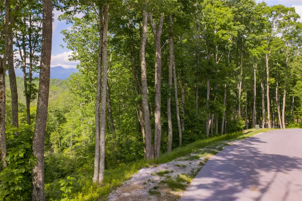 C21 Roaming Road Glenville, NC 28736