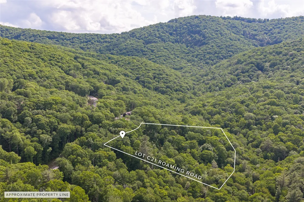 C21 Roaming Road Glenville, NC 28736