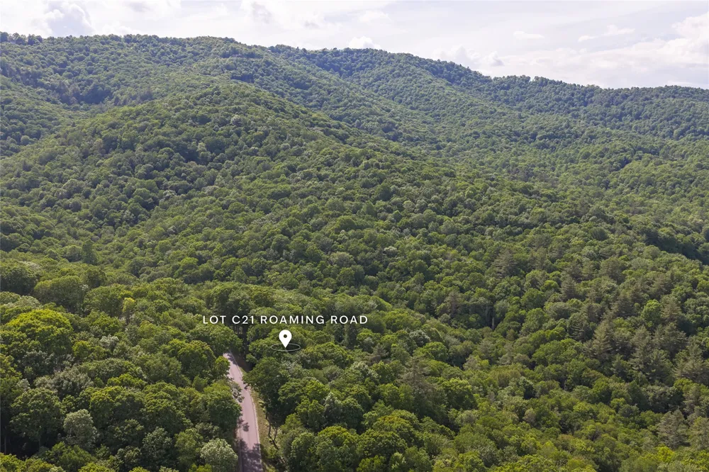 C21 Roaming Road Glenville, NC 28736