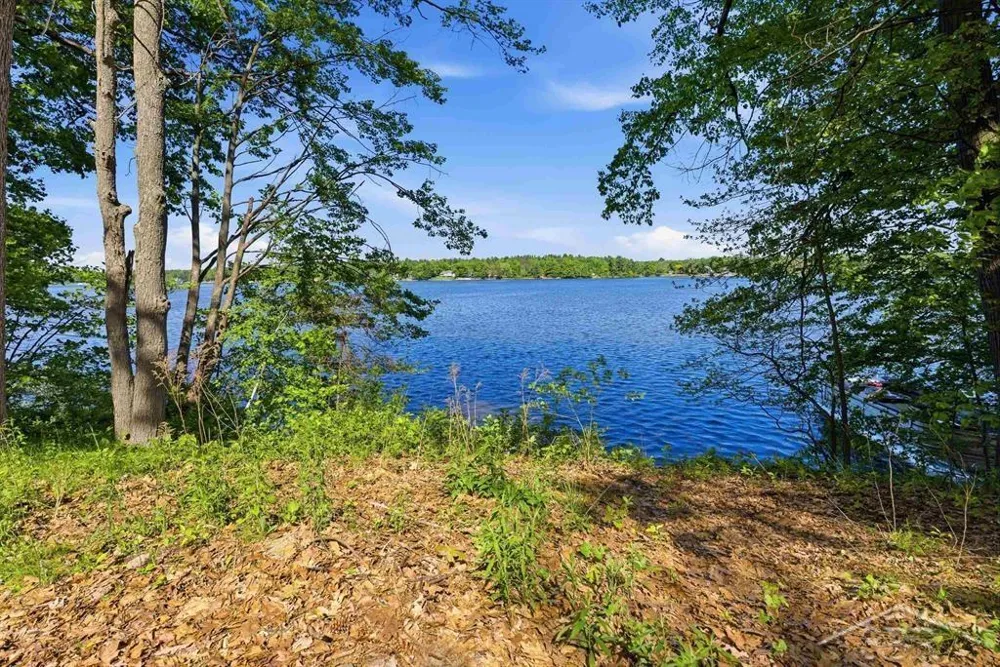 3340 Lakeside Drive Jerome Township, MI 48657