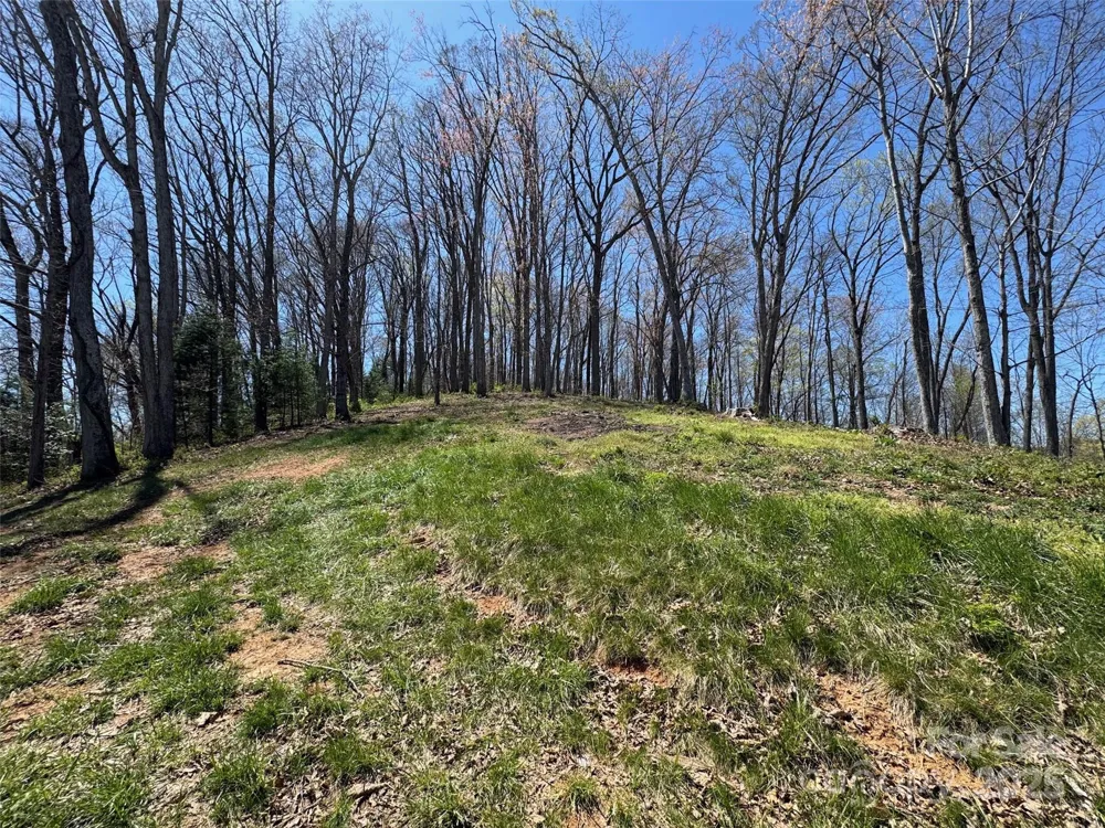00 Aster Ridge Drive #10 Waynesville, NC 28786