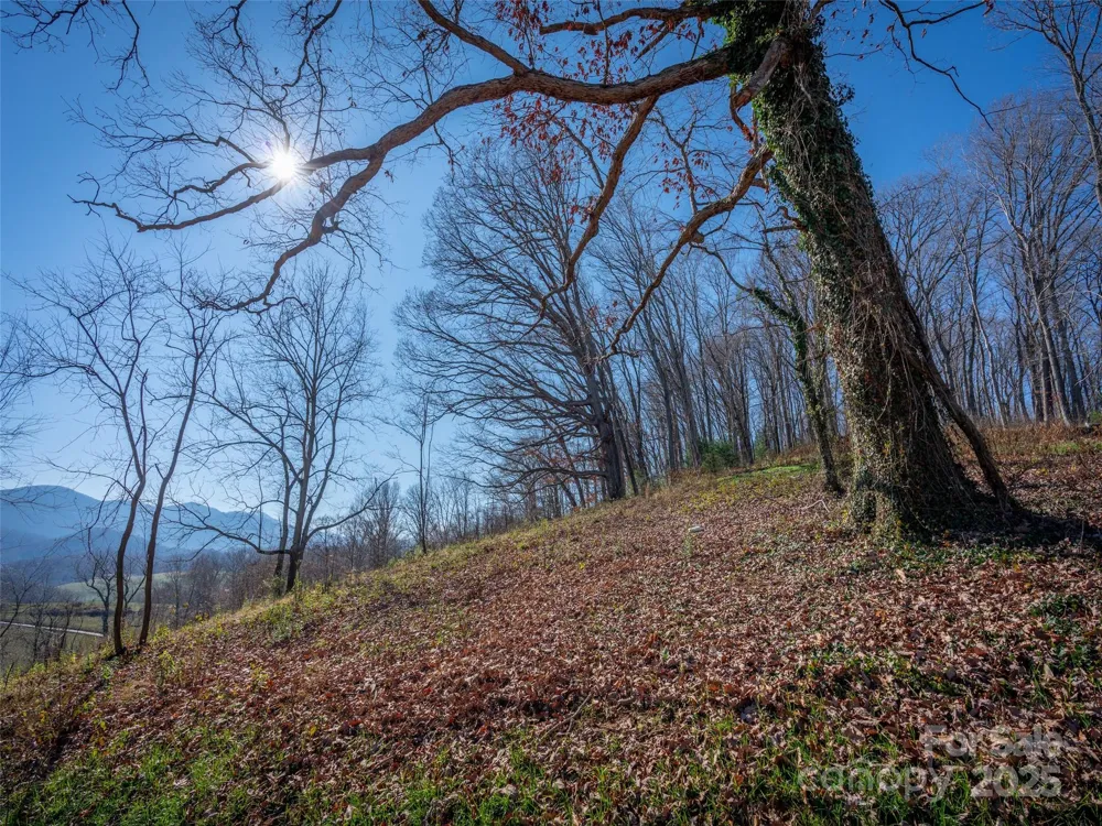 00 Aster Ridge Drive #10 Waynesville, NC 28786