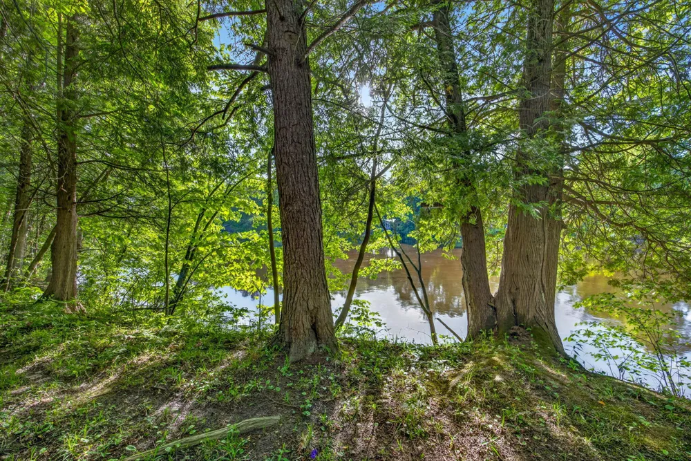 3007 Riverview Drive Hersey, MI 49639