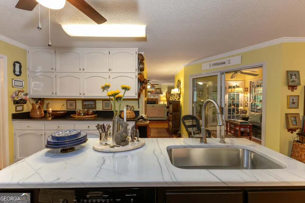 175 Weeping Willow WAY Tyrone, GA 30290