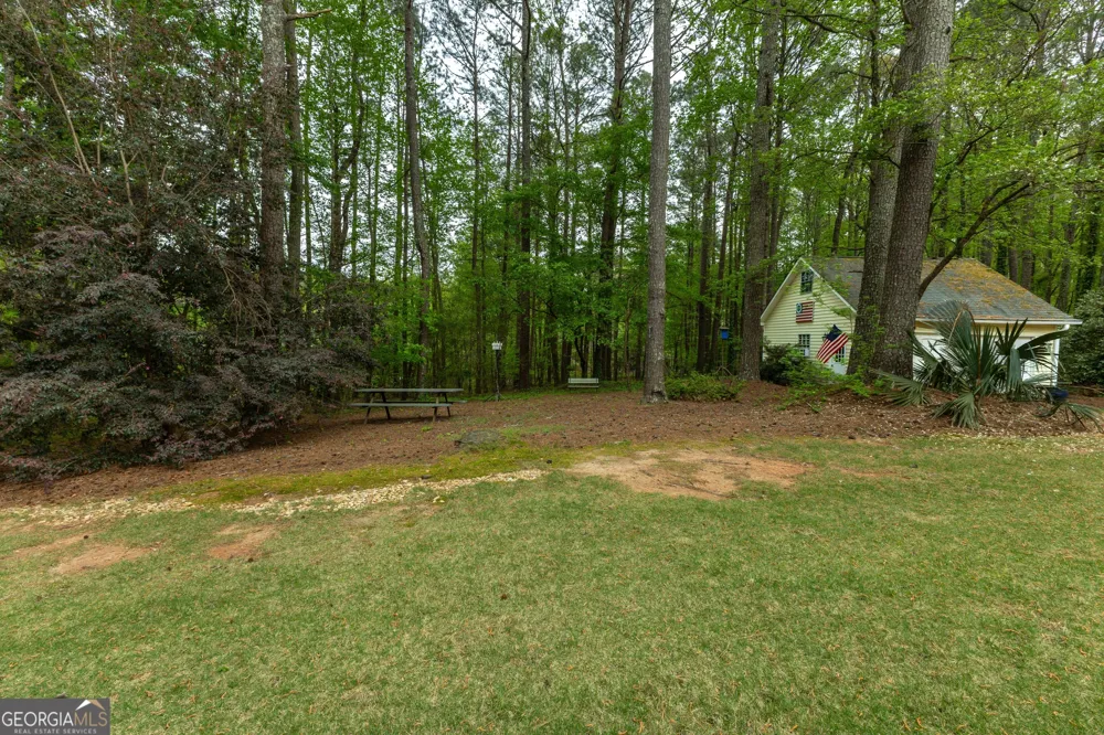 175 Weeping Willow WAY Tyrone, GA 30290