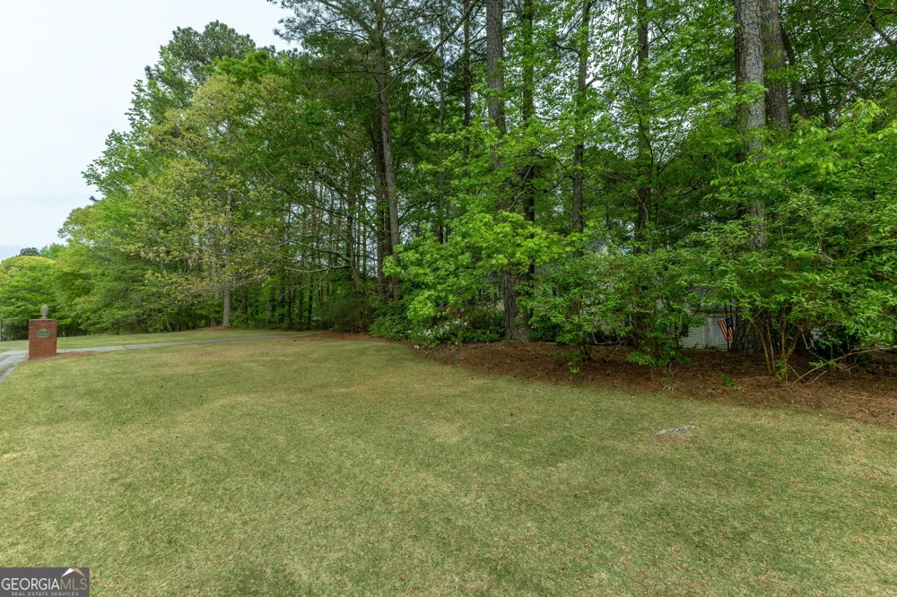 175 Weeping Willow WAY Tyrone, GA 30290