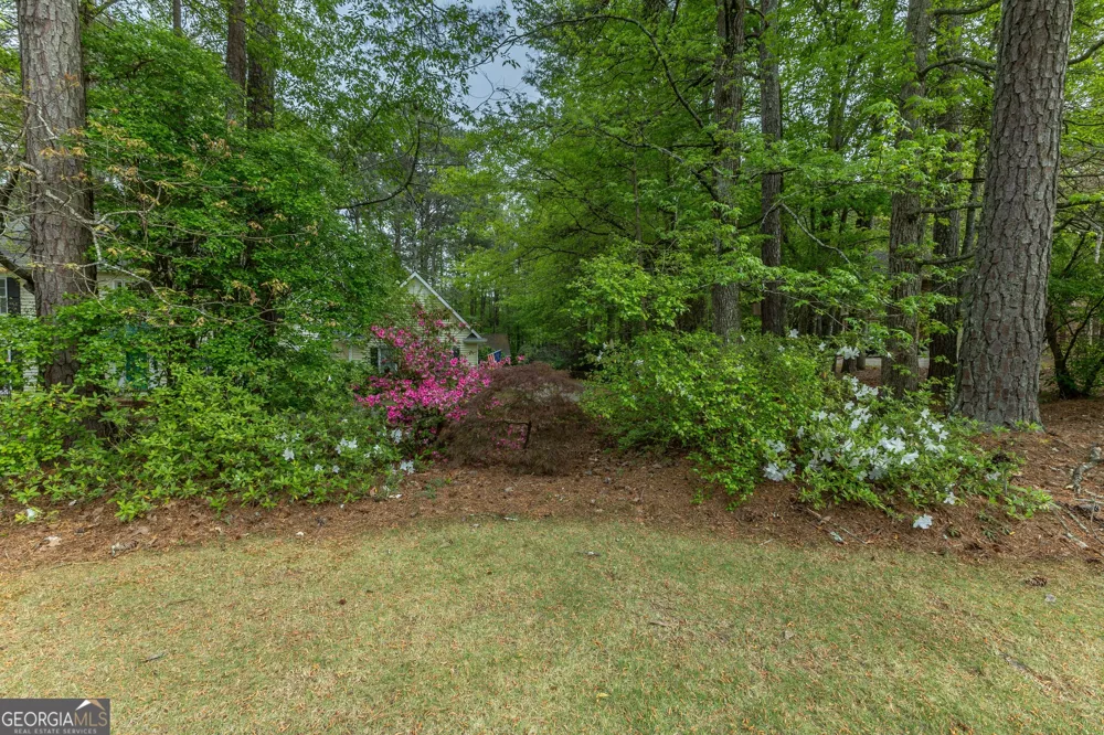175 Weeping Willow WAY Tyrone, GA 30290