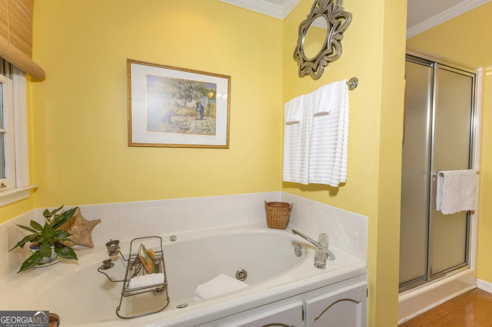 175 Weeping Willow WAY Tyrone, GA 30290