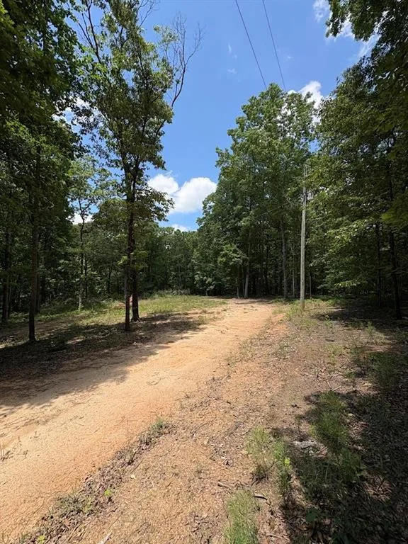 4492 U.S. 78 Tallapoosa, GA 30176