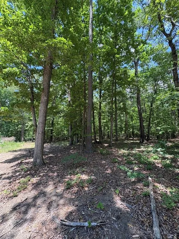 4492 U.S. 78 Tallapoosa, GA 30176