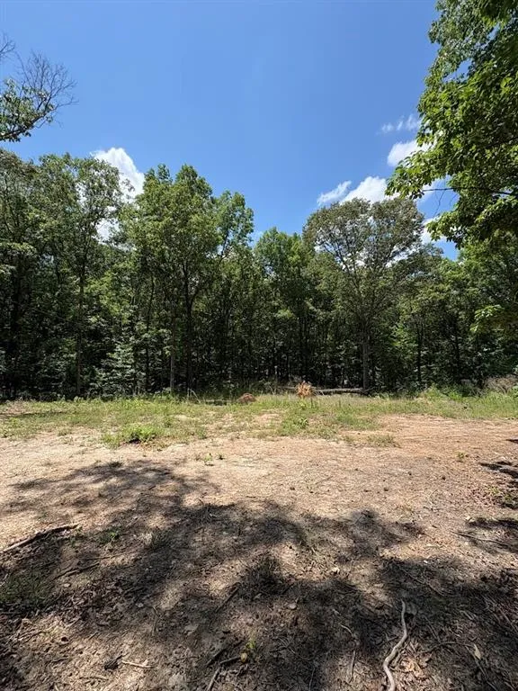 4492 U.S. 78 Tallapoosa, GA 30176