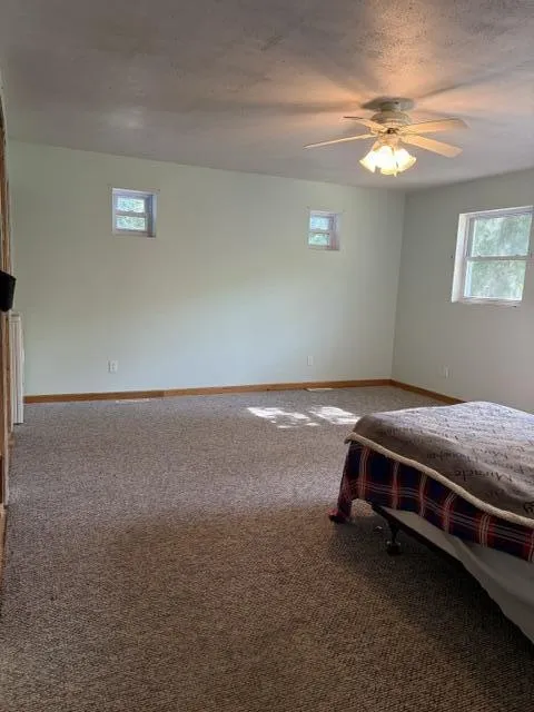 3007 Riverview Drive Hersey Township, MI 49639