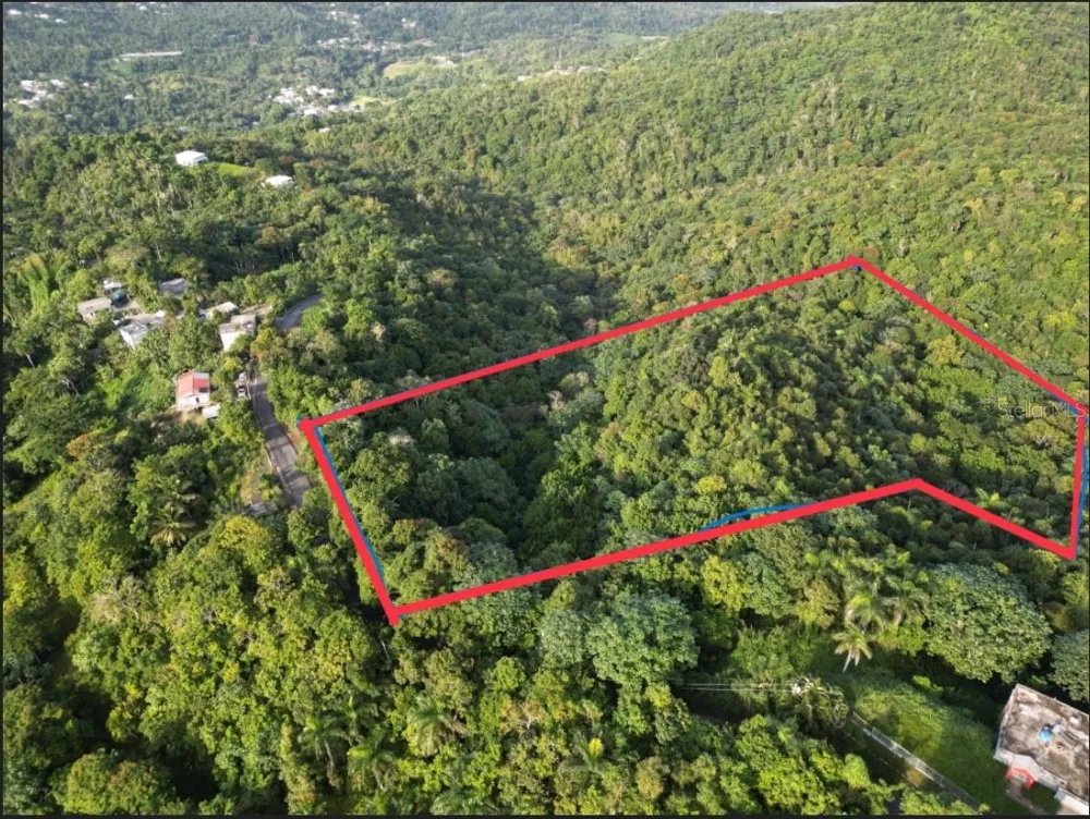 BO CAGUITAS , CARR 785 KM.HM 4.2, Aguas Buenas, PR 00703
