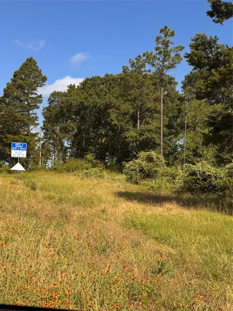 W State Highway 294