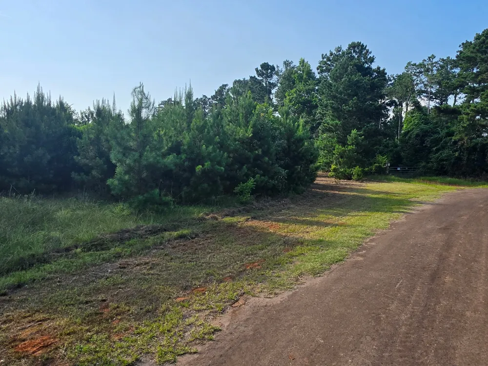 W State Highway 294 Elkhart, TX 75839