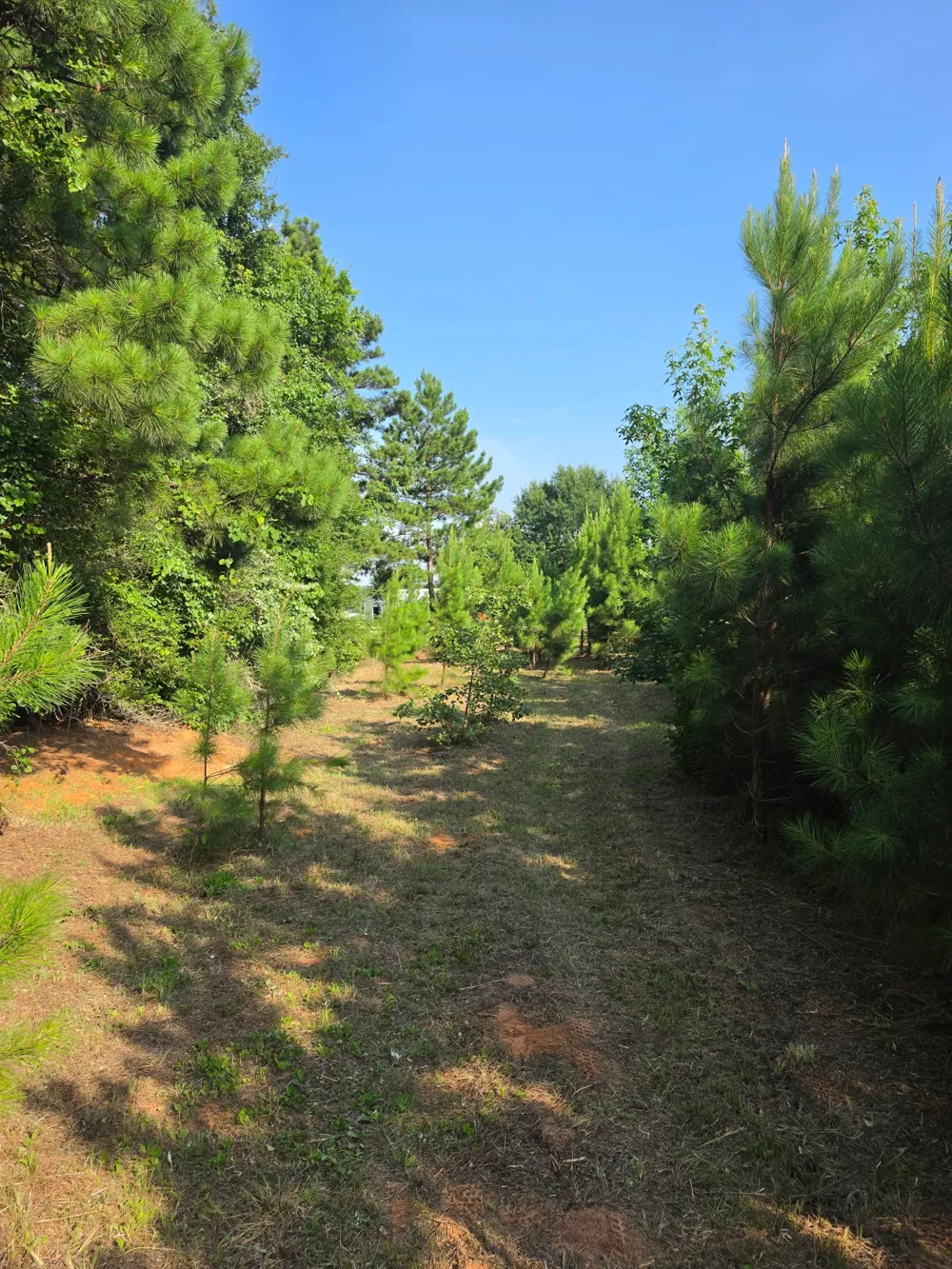 W State Highway 294 Elkhart, TX 75839