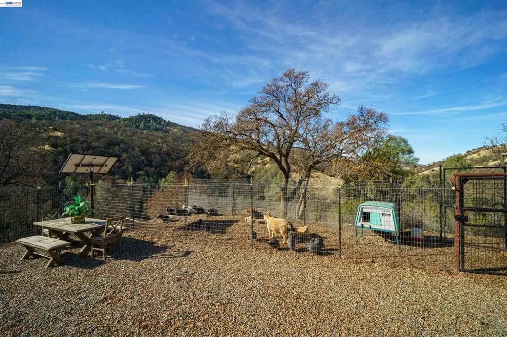 21000 Mines Rd. Livermore, CA 94550