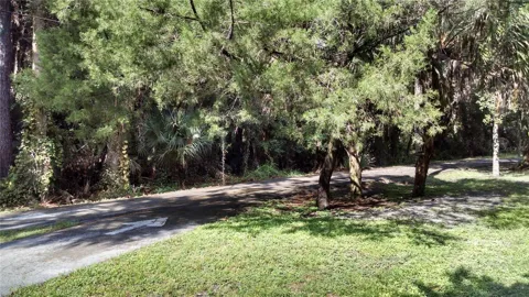 224 MANSION BOULEVARD