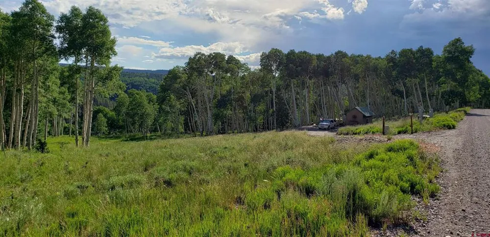 1451 Spruce Road Cimarron, CO 81220
