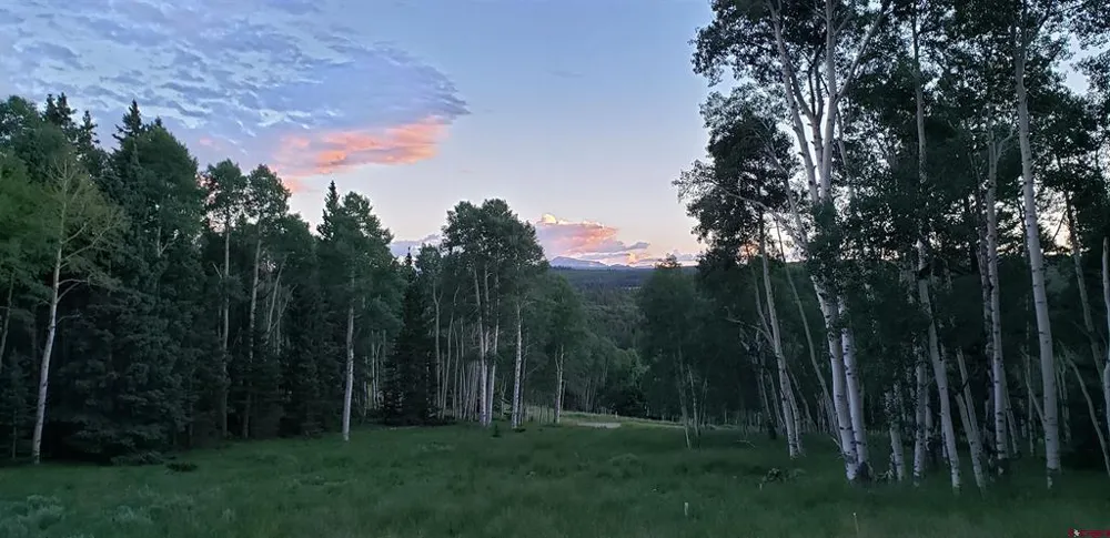 1451 Spruce Road Cimarron, CO 81220