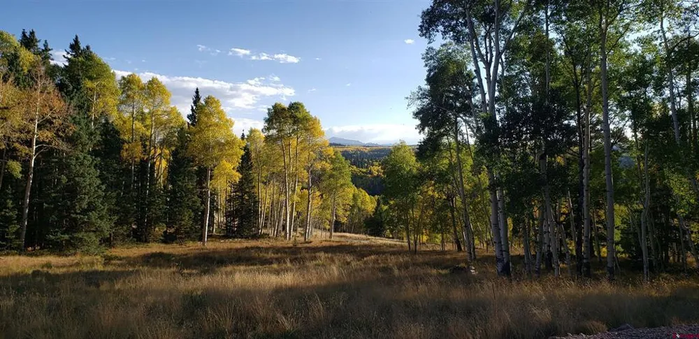 1451 Spruce Road Cimarron, CO 81220