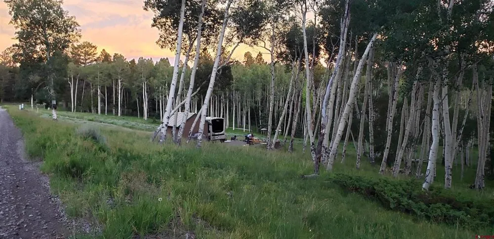 1451 Spruce Road Cimarron, CO 81220