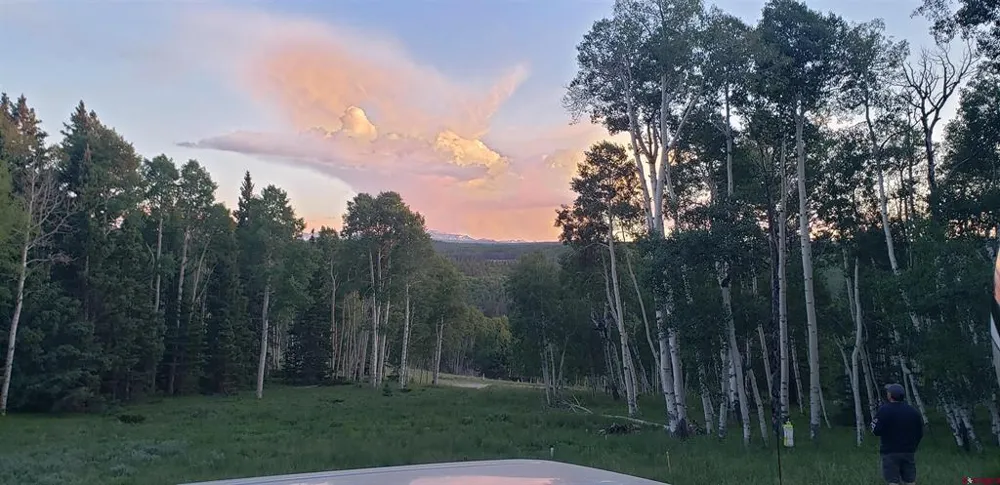 1451 Spruce Road Cimarron, CO 81220