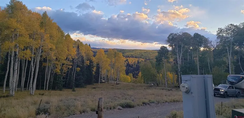1451 Spruce Road Cimarron, CO 81220