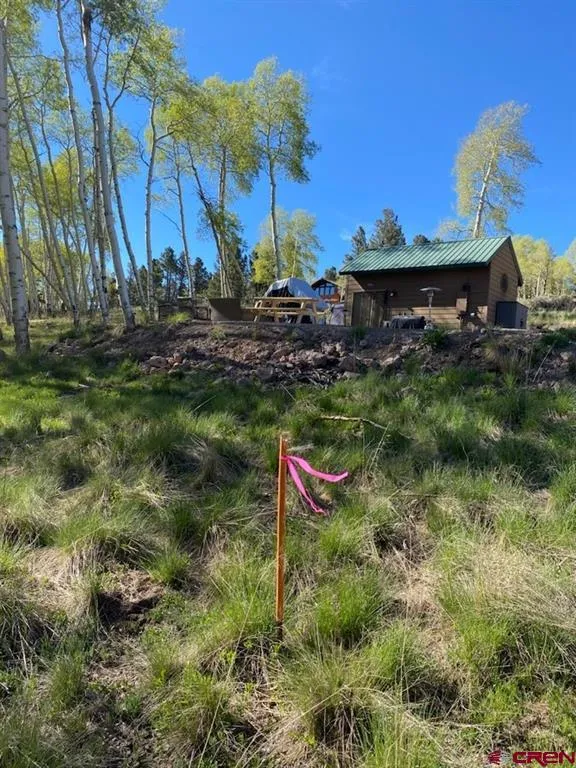 1451 Spruce Road Cimarron, CO 81220
