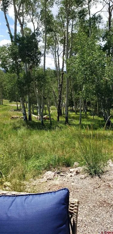 1451 Spruce Road Cimarron, CO 81220