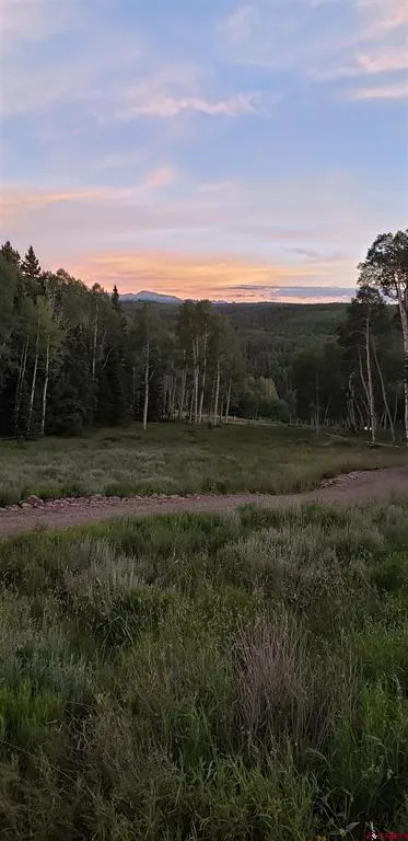 1451 Spruce Road Cimarron, CO 81220