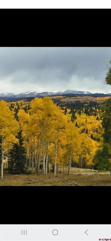 1451 Spruce Road Cimarron, CO 81220