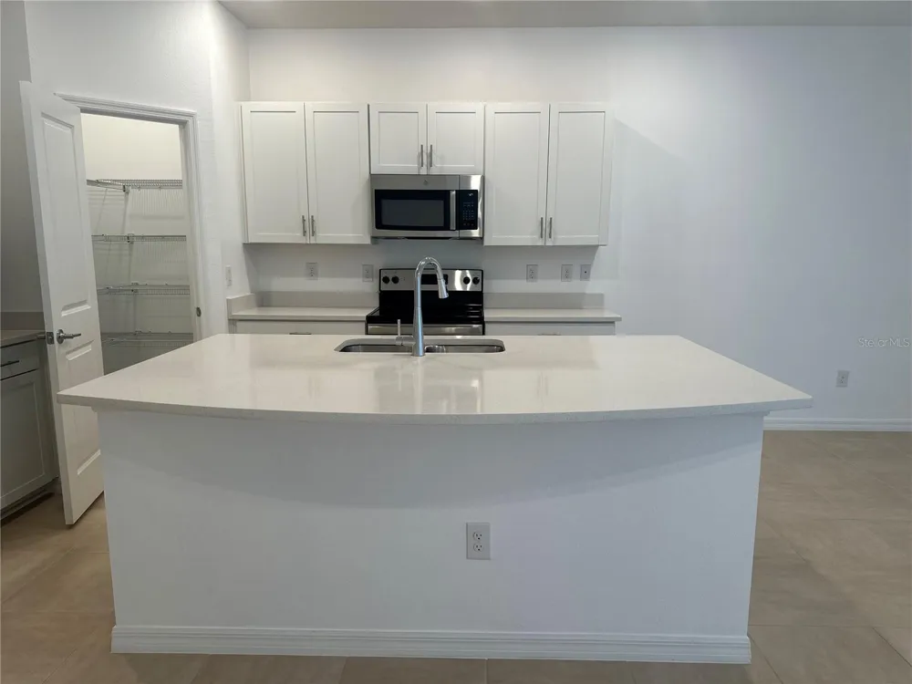 2358 PARAVANE WAY Wesley Chapel, FL 33543