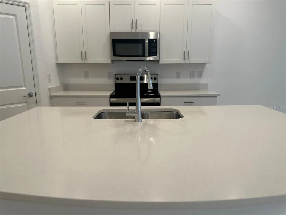 2358 PARAVANE WAY Wesley Chapel, FL 33543